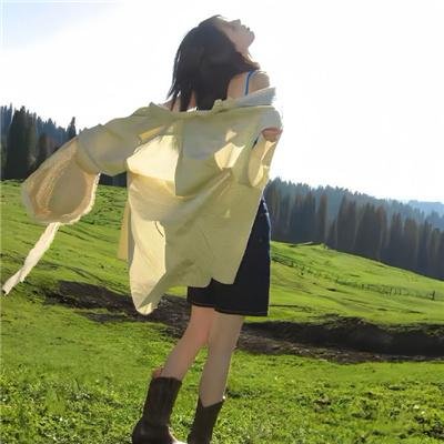 机飞总动员2